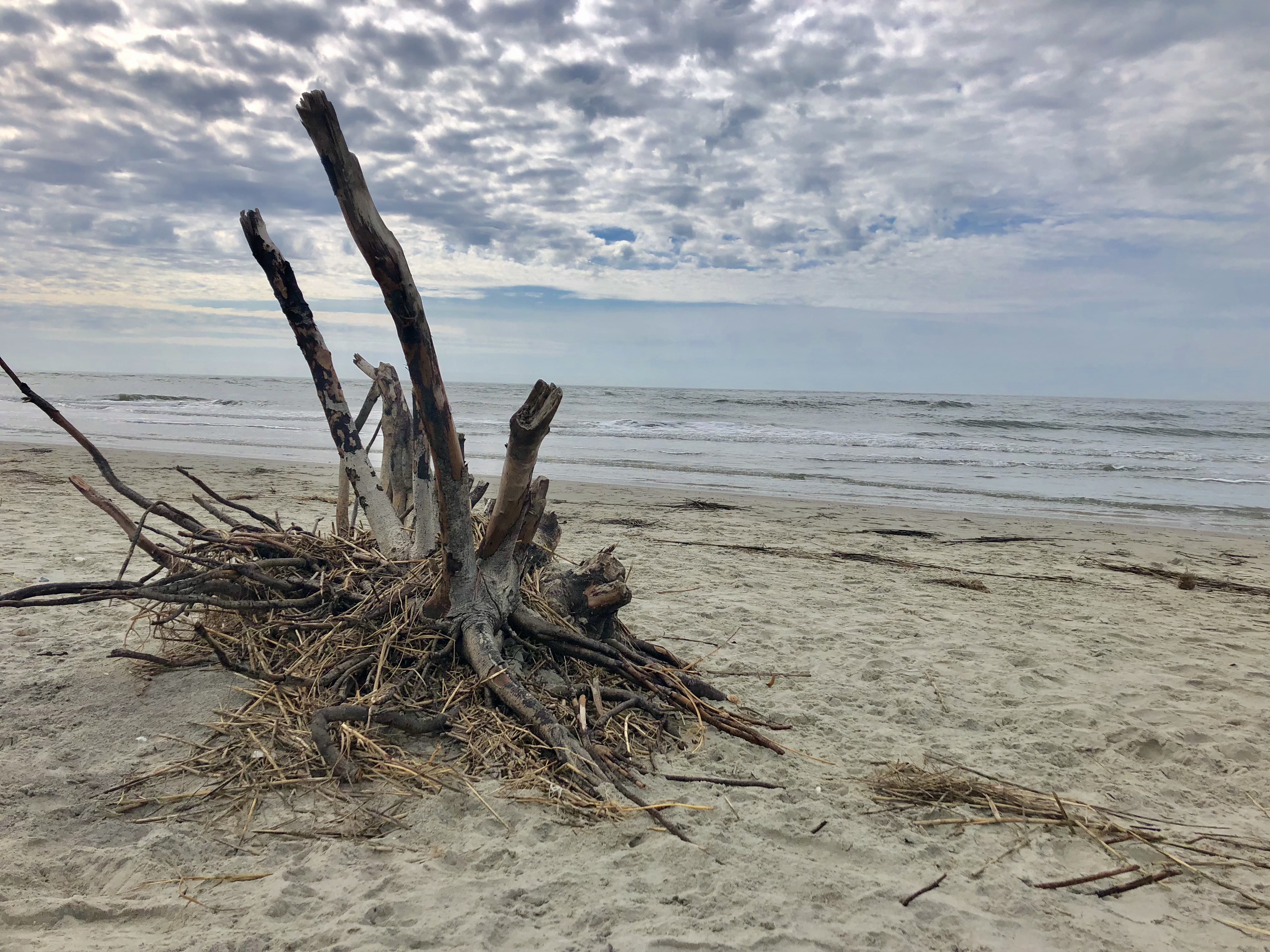 Michelle E. Harris, Ph.D.